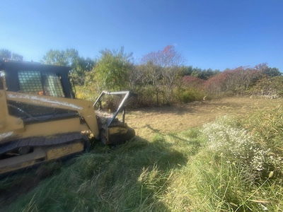Dozer-Land-Clearing-Contact